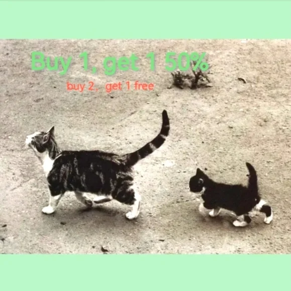 clothes - Picture 2 of 2